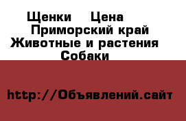Щенки. › Цена ­ 1 - Приморский край Животные и растения » Собаки   